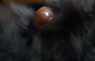 XXX الأزواج الذين صور كس منقبات يحبون الإباحية سرا
