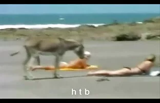 XXX الخيال صور سكس اوربي القذرة الشاب