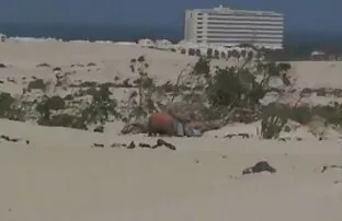 XXX نشر صديقة الجنس سكس بحت