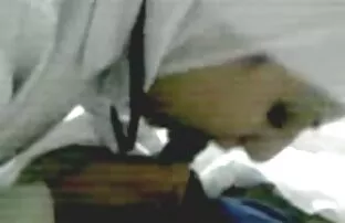 XXX Sloop بلا صور سكس جديد كلل